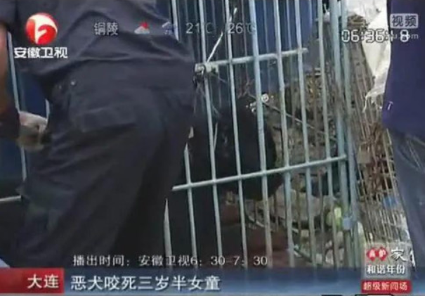 只有人文明了,狗才能够文明