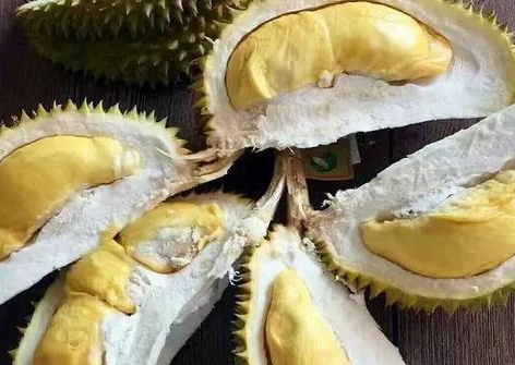 铲屎官回家吃榴莲,成果狗子疯狂闻自己屁股…笑喷了!