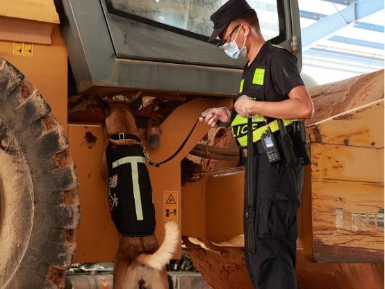 云南保山:警犬“鹰空”获评功勋犬
