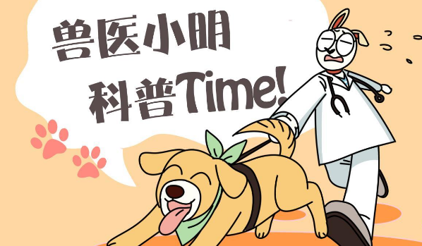 狗妈身中一箭逃脱后,坚持回到小狗身边喂奶,看了眼忍不住心疼
