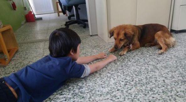 男孩每节下课都会去找校犬 上演偶像剧画面