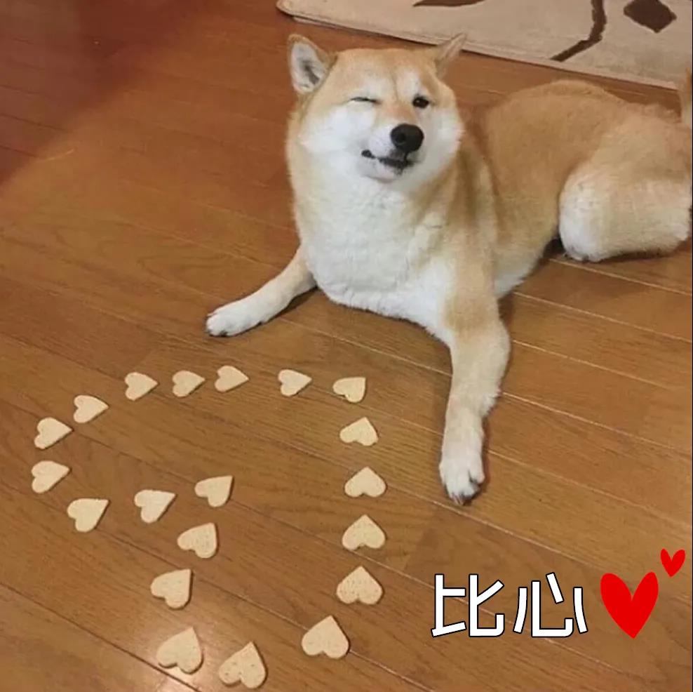 据说养狗后的人都有这些“困扰”