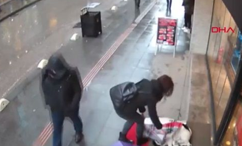 女子用围巾给流浪狗狗取暖 超暖心善举被赞爆