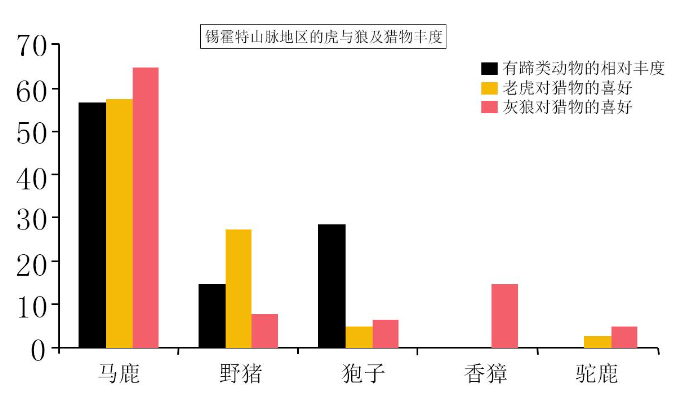 “咬死两头牛、吃掉一条狗”,为何冬季东北虎更频繁下山觅食?