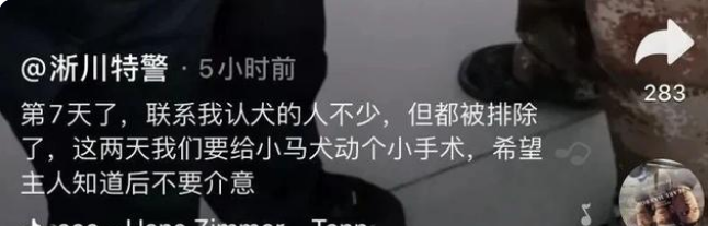 流浪狗闯进警局“应聘”警犬,网友:现在想当警犬都靠耍赖皮吗?