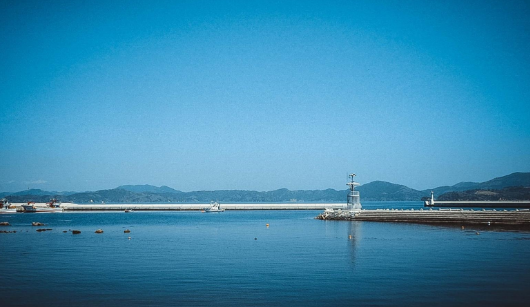 “奇葩”岛屿禁止任何狗上岛，却是猫咪的天堂