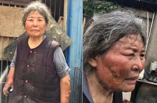 小狗在水中被鳄鱼咬住,主人徒手掰开鳄鱼嘴巴,勇救小狗