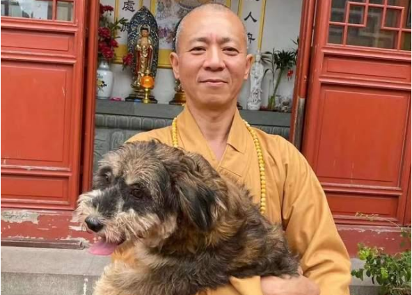 和尚不念经!27年救5500只流浪狗,用实际行动践行「慈悲为怀」