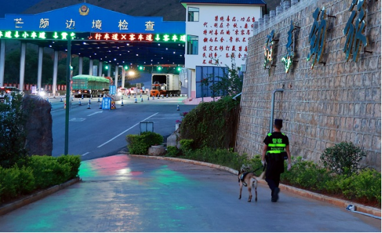 云南保山:警犬“鹰空”获评功勋犬