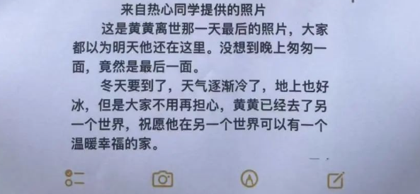我为流浪狗发声!抵制大规模捕杀流浪狗!