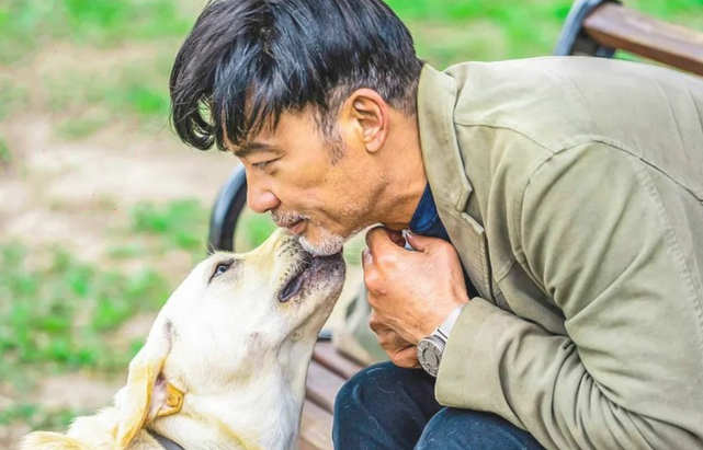 8万余盲童仅1人有着导盲犬,他们手上藏着过多心酸