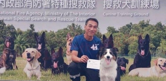 搜救犬瓦砾堆搜救5分钟完成 曾遭弃养收容所