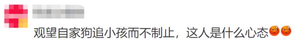 小女孩被未拴绳小狗狂追近30秒后摔倒,狗主人竟淡定围观
