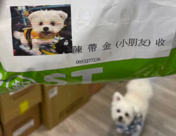 快递员送包裹遇到没见过的名字,狗子听到立马跑出来