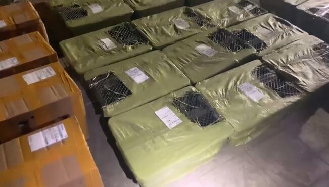 痛心!百余只宠物盲盒被遗弃街头,有猫有狗都在惨叫!