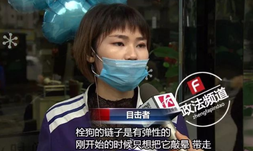 长沙芙蓉路咬人金毛被民警用木棒打死虐狗事件,官方辟谣事件全过程
