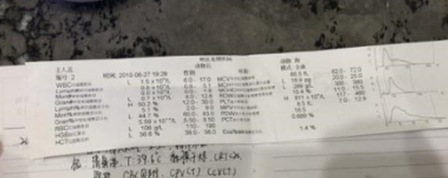 扎心!1500元买了只“星期狗” 宠物店:只换不退
