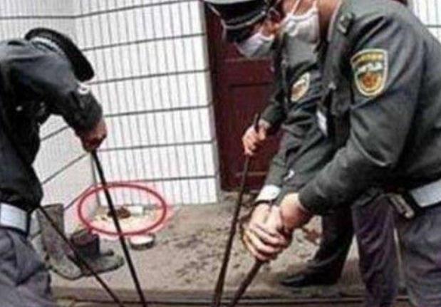 上世纪八十年代,一场声势浩大的打狗运动,起因你还记得吗?
