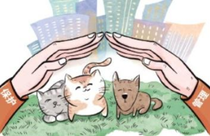 伤人惹人厌、消杀让人怜 流浪猫狗数量激增应如何处置
