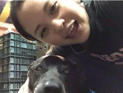 小狗趴奶奶遗照前离逝,谢谢16年前的收容,家人把它葬在庭院