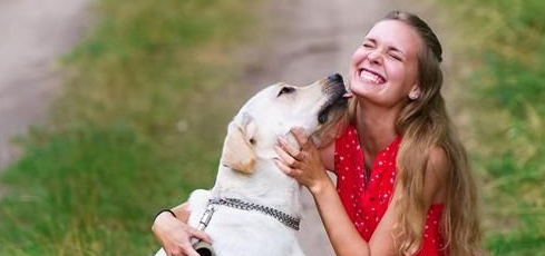 出门前和爱犬吻别 女子遭咬险毁容
