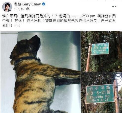 明星宠狗多疯狂?曹格被自家狗咬伤却无所谓,此类事件不是第一次