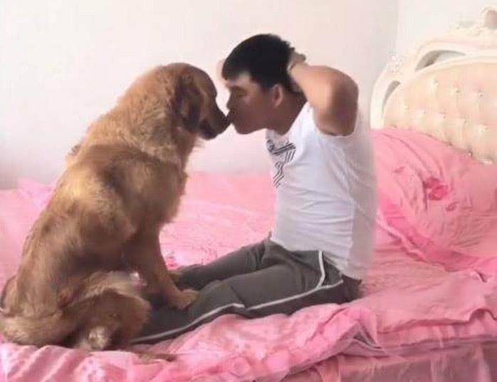 狗狗聪明乖巧善解人意,可惜遇上二货主人,这表情简直绝了