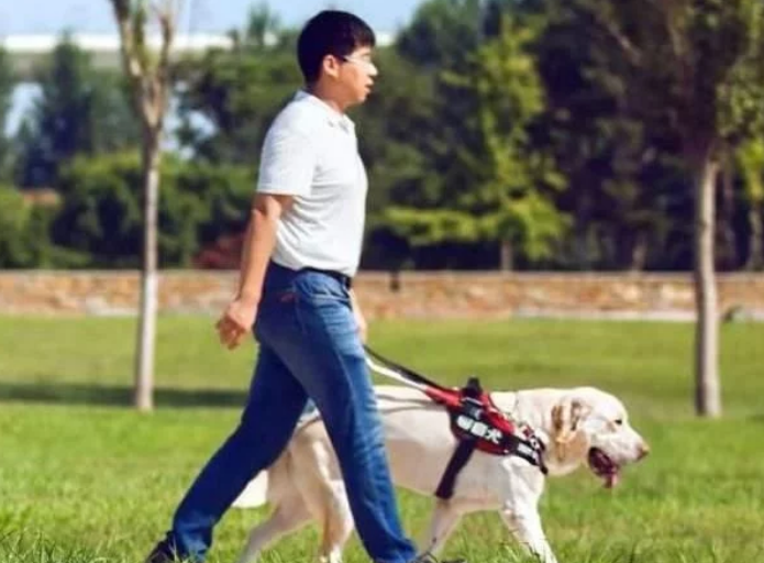 珠海某酒店拒绝导盲犬进入!经理霸气:这是珠海,是狗就不能进!