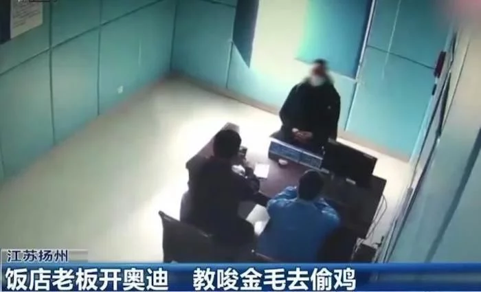 真的狗!狗主人竟训练金毛去偷鸡,数量高达300多只!