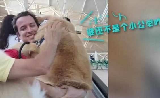 快一百斤大金毛怕坐电梯,要小哥抱抱才敢上:你说你丢不丢狗?