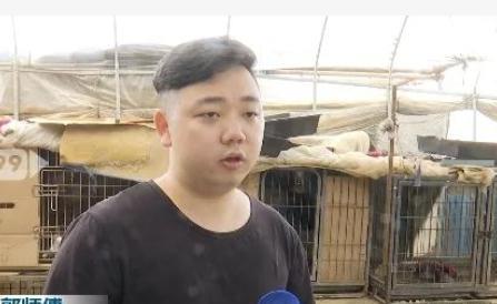 昆明一养殖基地60只狗中毒身亡,老板怀疑有人故意投毒
