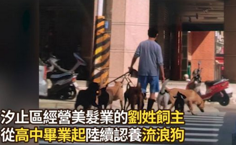 养了33只狗被投诉,可工作人员进屋一看非常惊讶
