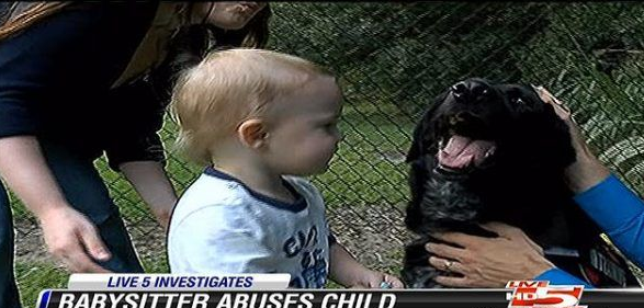 美国发生一件保姆虐童案 忠犬狂吠揭发恶行