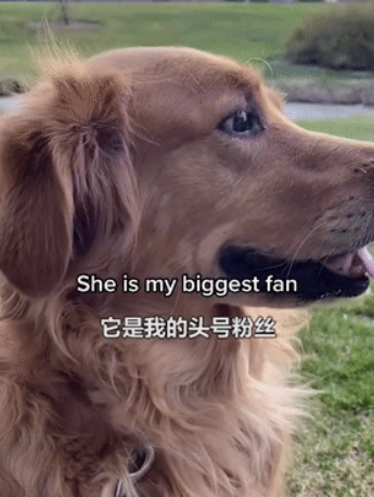 因为养狗,一年减了177斤