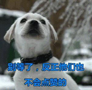 主人在床上吃东西,一回头看到哈士奇的狗头,主人笑到满床打滚