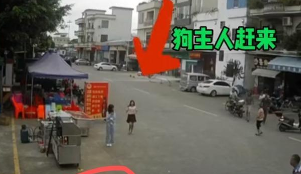 “佛山女孩遛狗拖倒老人后逃跑”事件,后续来了:老人已丧生