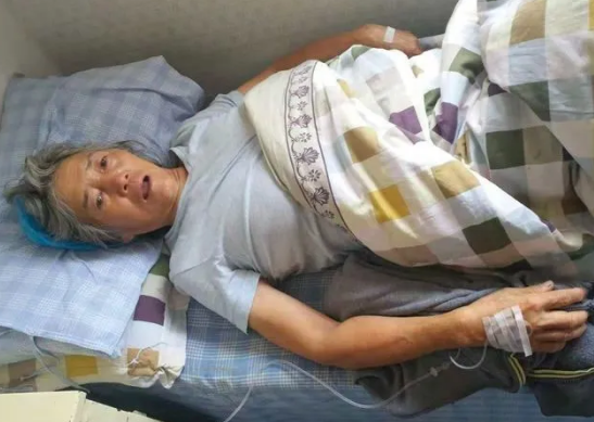 救过数千只狗的7旬老人,如今抱狗求人模样让人泪目