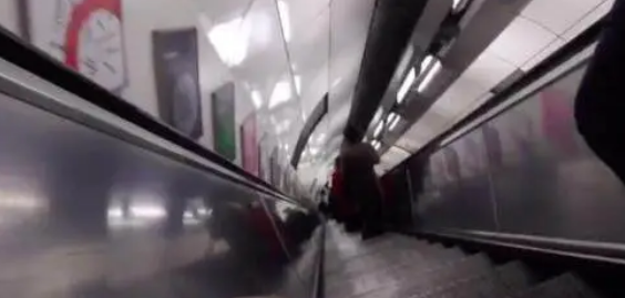 导盲犬搭扶梯,却遭到乘客嫌弃挡路,站务员这个做法令人赞叹