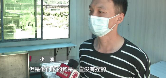 贵阳街边放养大狗不拴绳 闯祸后主人竟这样说
