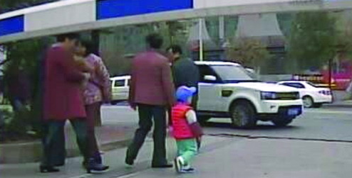 相伴4年的贵宾犬突然走丢 主人难过睡不着觉