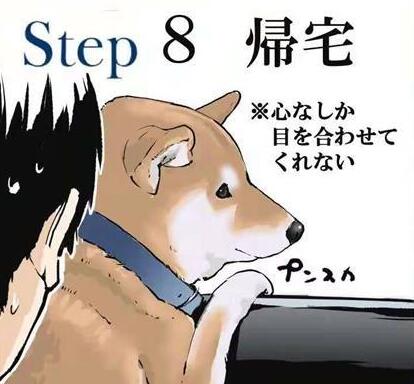 柴犬打针是什么体验,漫画图的表现,让它在怀疑“狗生”