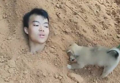 主人为揭穿狗狗的满意度将自身埋人,狗狗的体现令人难受想哭