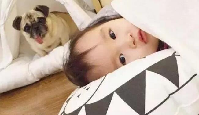 孩子与狗狗真的不能共存吗?看看国内外专家是怎么说的!