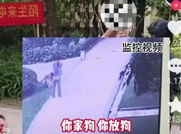 男子遛狗不拴绳致狗被咬,称自己是警察,威胁对方小心点