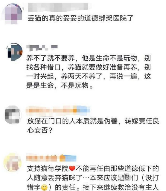 爱心网红靠流浪狗得百万打赏,猫德学院濒临破产,宠物经济真奇怪