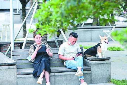 狗狗疯跑挺吓人 该谁管理“踢皮球”
