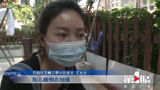 某小区宠物狗接连死亡 警方介入调查