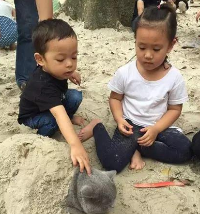 时代变了,现在猫咪的天敌不是狗,而是…