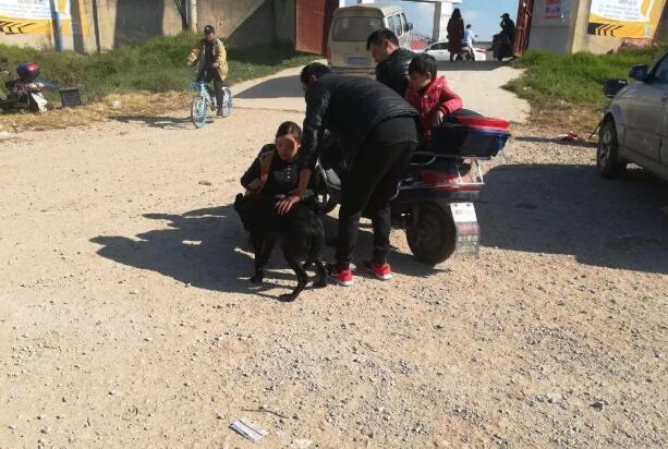 一家人带着黑狼犬来狗市卖, 与商贩都谈妥了! 可“小主人”不答应