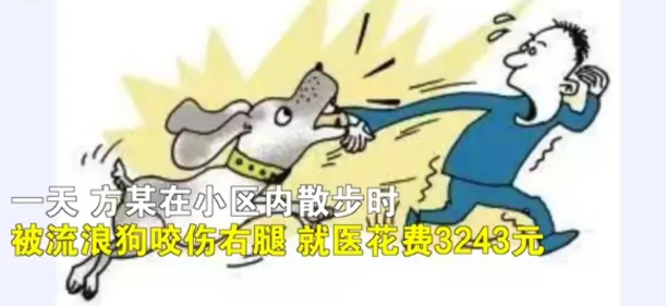 陕西西安,市民方某在小区散步时不慎被一只流浪狗咬伤了右腿